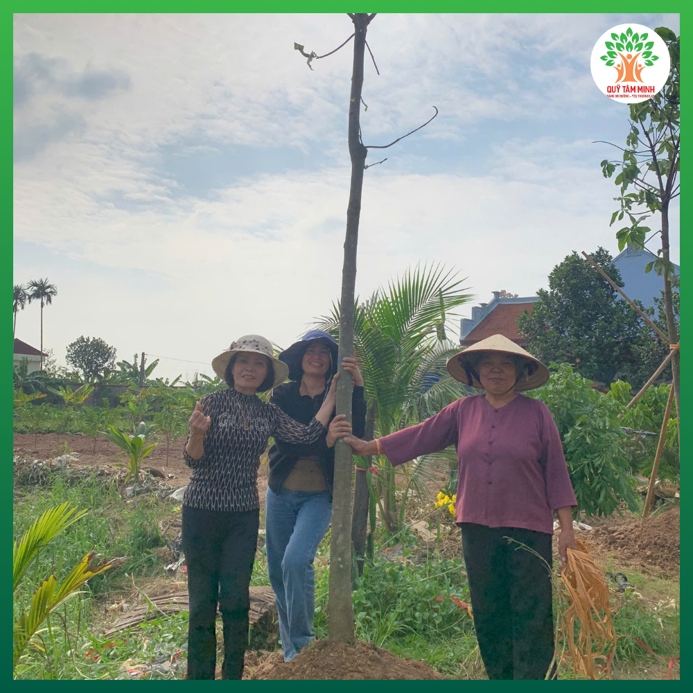 Quỹ Tâm Minh trồng cây tại chùa Cổ Lôi