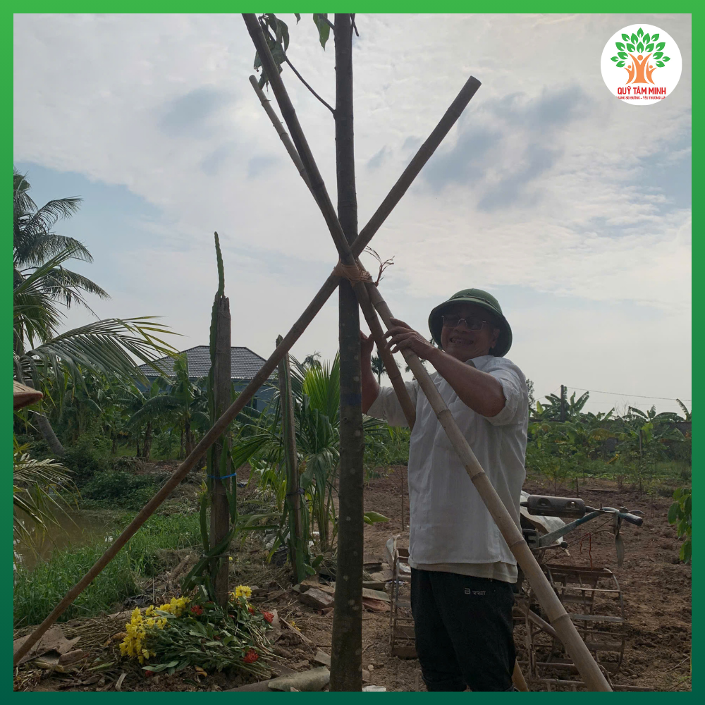 Quỹ Tâm Minh trồng cây tại chùa Cổ Lôi