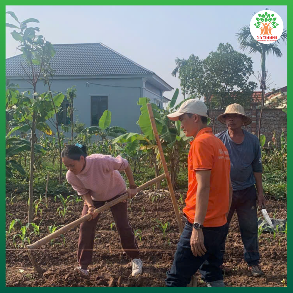 Quỹ Tâm Minh trồng cây tại chùa Cổ Lôi