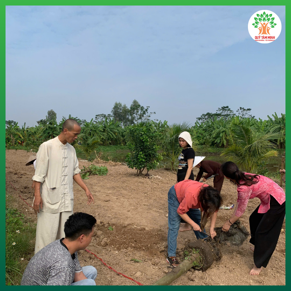 Quỹ Tâm Minh trồng cây tại chùa Cổ Lôi